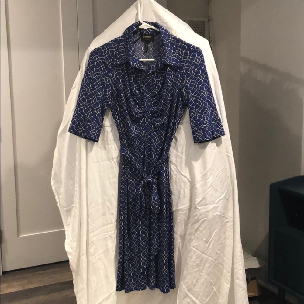 Blue shirtdress